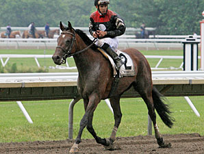 Way With Words wins the 2010 Open Mind Handicap.