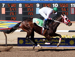 Weeping Aly wins the 2013 Copper Top Futurity Colts & Geldings 2nd Division.