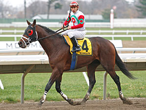 Well Positioned wins the 2010 Frisk Me Now Stakes.