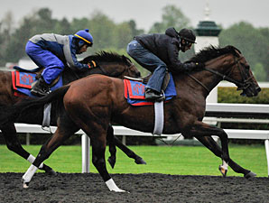 Went the Day Well - Keeneland Work, April 21, 2012.