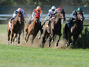 Western Aristocrat wins the 2011 Jamaica.