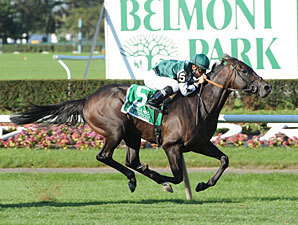 Western Aristocrat wins the 2011 Jamaica.