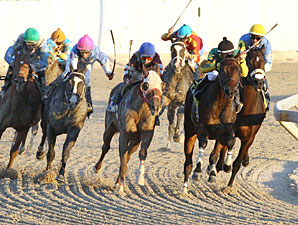 Westernator wins the 2012 Louisiana Legacy.
