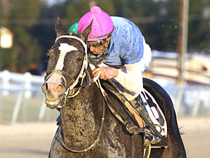 Westernator wins the 2012 Louisiana Legacy.