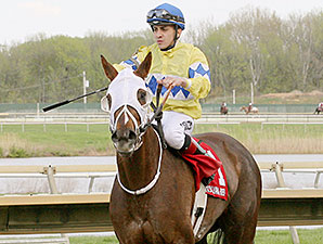 Where's Rosie B wins the 2014 Foxy J. G. Stakes.