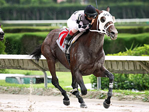Where's Sterling wins the 2012 Mecke Stakes.