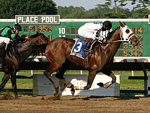 Where's Sterling wins the 2011 Iselin.