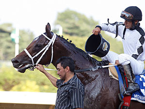 Where's Sterling wins the 2011 Iselin.