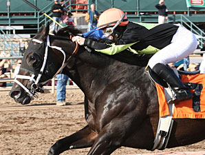 Why Not Be Perfect wins the Hank Mills Sr Handicap.