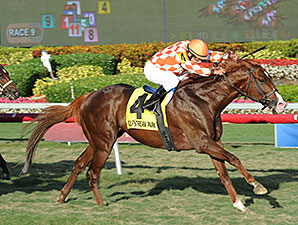 Wicked Tune wins the 2014 Gulfstream Park Turf Sprint.