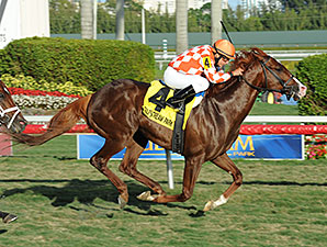 Wicked Tune wins the 2014 Gulfstream Park Turf Sprint.