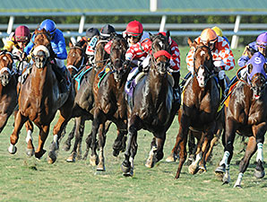 Wicked Tune wins the 2014 Gulfstream Park Turf Sprint.