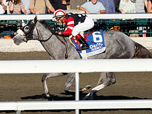 Wickedly Perfect wins the 2010 Darley Alcibiades.