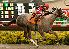 Freshman Sires Starting Fast