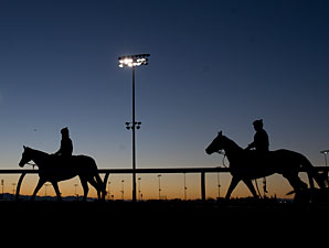 Wigmore Hall and Lay Time at Woodbine on October 12, 2012.