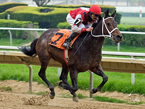 Wild Hope wins the 2010 Pretty Jenny Stakes.