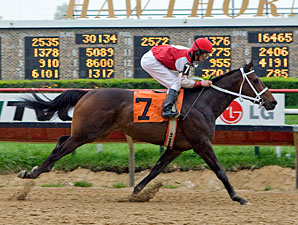 Wild Hope wins the 2010 Pretty Jenny Stakes.
