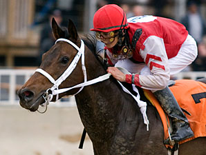 Wild Hope wins the 2010 Pretty Jenny Stakes.
