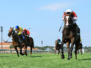 Wild Jacob wins the 2012 John Bullit Stakes.