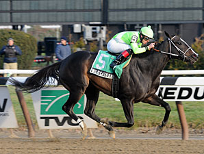 Wildcat's Smile wins the 2012 Sarcastic Stakes.