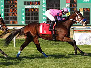 Wildrally wins the 2011 Dixie Poker Ace Stakes.