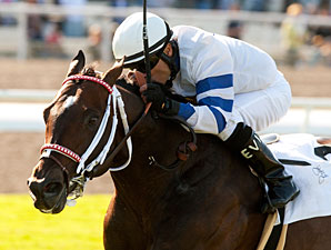 Wilkinson wins the 2012 American Handicap.