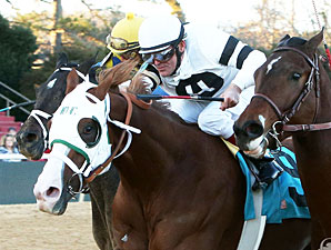 Will Take Charge wins the Smarty Jones Stakes.