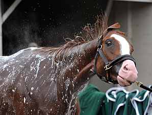 Will Take Charge - Churchill Downs, April 29, 2013.