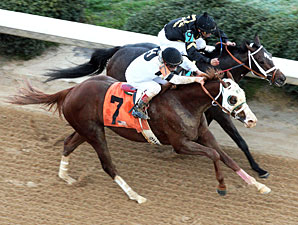 Will Take Charge wins the 2013 Rebel Stakes.