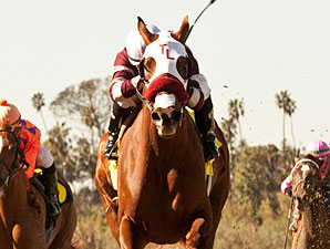 Willa B Awesome wins the 2012 Santa Ysabel.