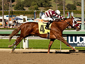 Willa B Awesome wins the 2012 Santa Ysabel.