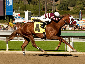 Willa B Awesome wins the 2012 Santa Ysabel.