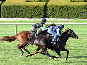 Willcox Inn (outide) and Rough sailing work at Keeneland on October 30, 2010.