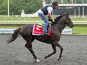 Willcox Inn at Arlington Park.