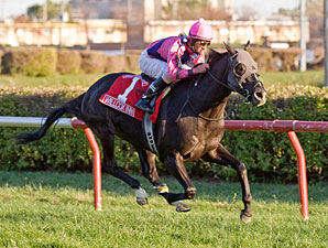Willcox Inn wins the 2011 Hawthorne Derby.