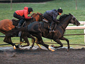 Willcox Inn - Keeneland Work October 27, 2012.