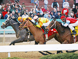 Win Willy wins the 2011 Fifth Season Stakes.