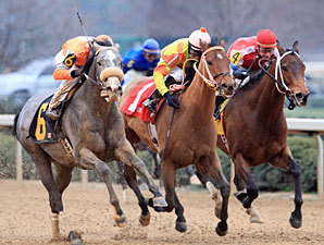 Win Willy wins the 2011 Fifth Season Stakes.