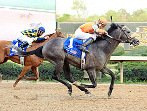 Win Willy wins the 2011 Oaklawn Handicap.