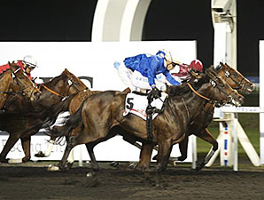 Windhoek wins the 2014 Xpress Handicap.