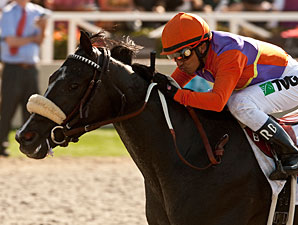 Winding Way wins the Rancho Bernardo.