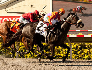 Winding Way wins the Rancho Bernardo.