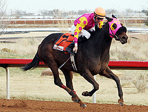 Wine Thief wins the 2013 Zia Park Distaff Stakes.