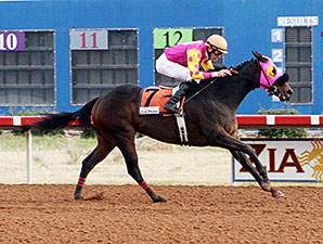 Wine Thief wins the 2013 Zia Park Distaff Stakes.