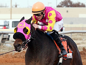 Wine Thief wins the 2013 Zia Park Distaff Stakes.