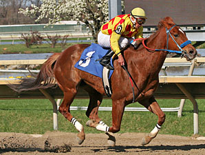 Winning Image wins the 2012 Langhorne Stakes.