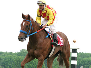 Winning Image wins the 2012 My Juliet.