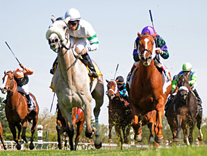 Winter Memories wins the 2011 Appalachian.
