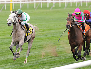 Winter Memories wins the 2011 Garden City.