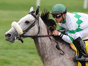 Winter Memories wins the 2011 Garden City.